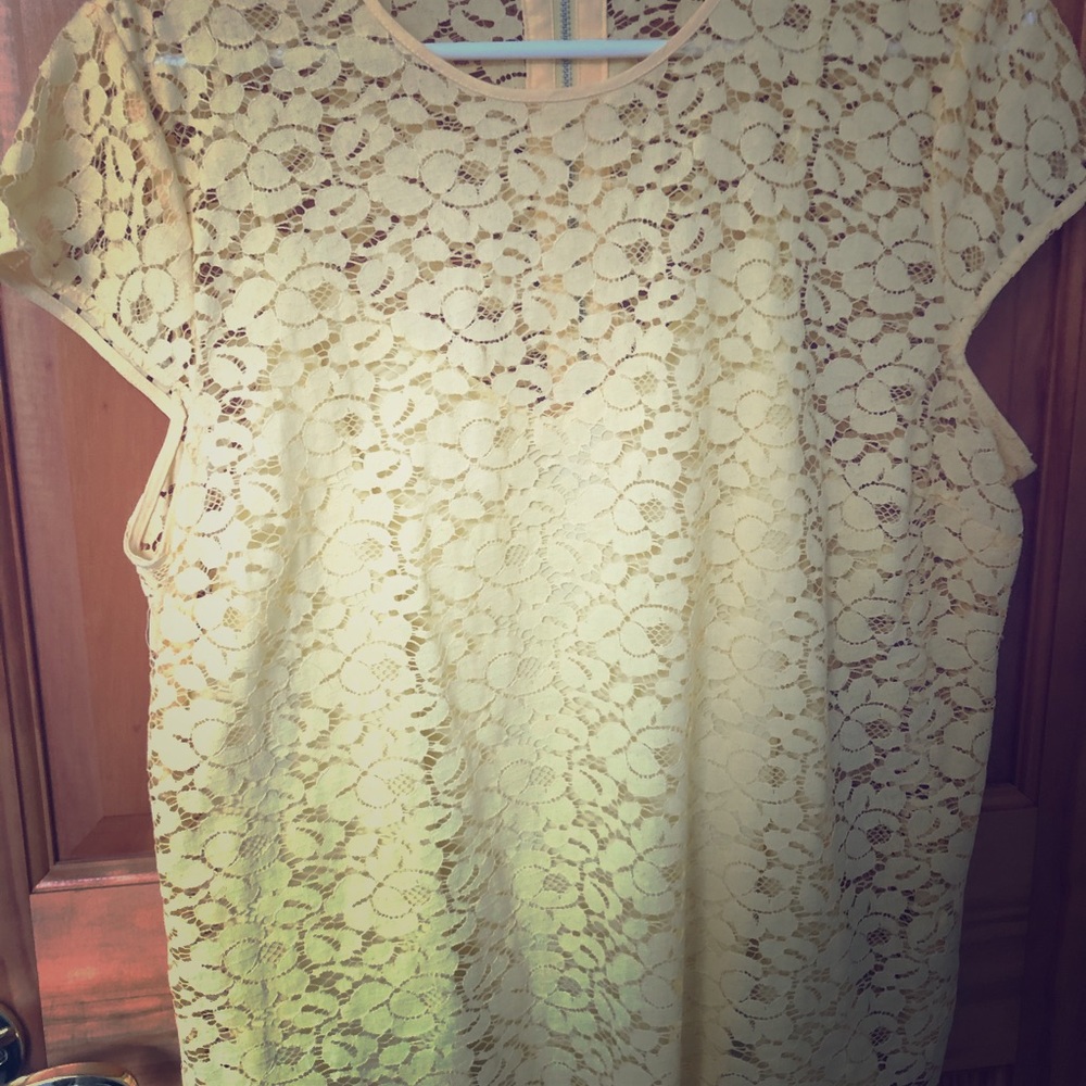 Lace blouse
